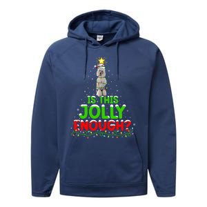 Lighting Is This Jolly Enough Standard Poodle Christmas Tree Gift Performance Fleece Hoodie