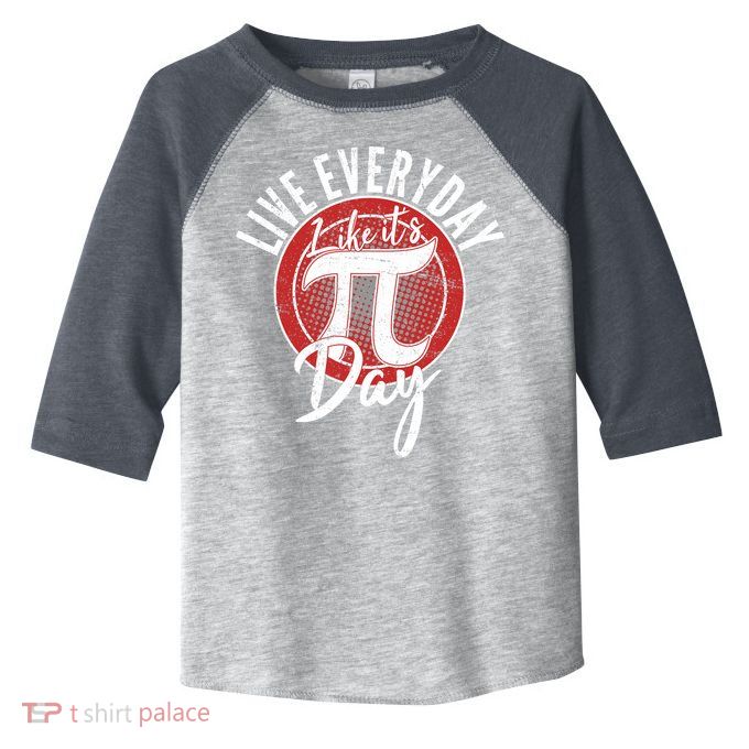Live Everyday Like It's PI 3.14 Day Toddler Fine Jersey T-Shirt