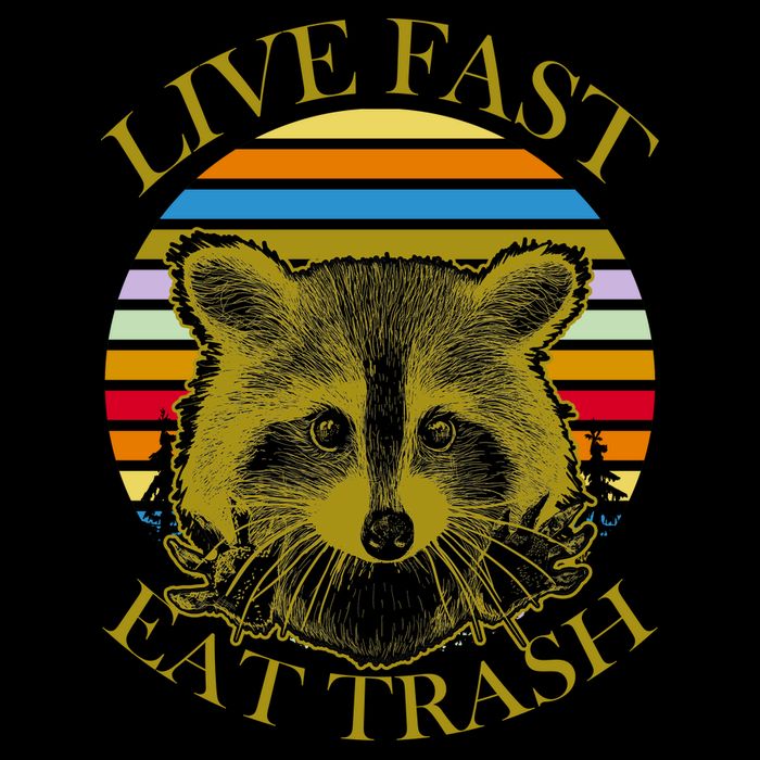 Live Fast Eat Trash Premium T-Shirt
