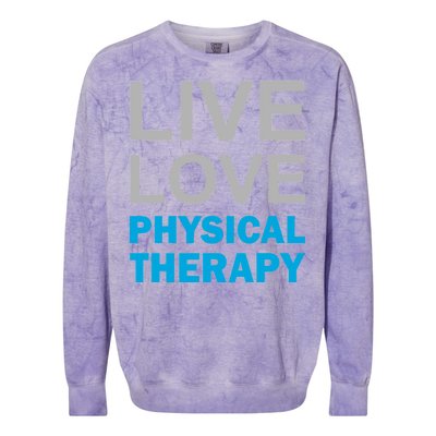 Live Love Physical Therapy Colorblast Crewneck Sweatshirt