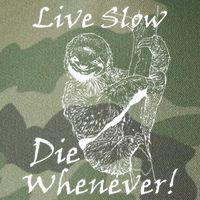 Live Slow Die Whenever Funny Sloth Legacy Tie Dye Trucker Hat