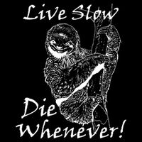Live Slow Die Whenever Funny Sloth Flatbill Hat
