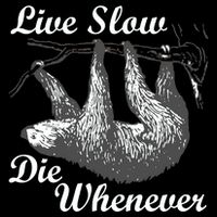 Live Slow Die Whenever Sloth Hoodie
