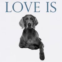 Love Is Weimaraner Apron