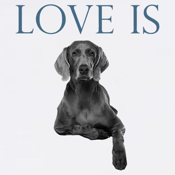 Love Is Weimaraner Apron