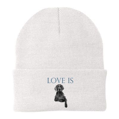 Love Is Weimaraner Beanie