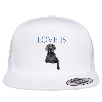 Love Is Weimaraner Flatbill Hat