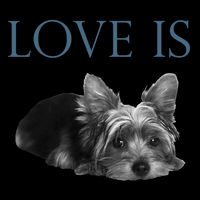 Love Is Yorkshire Terrier Yorkie Flatbill Hat
