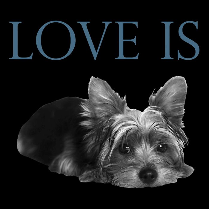 Love Is Yorkshire Terrier Yorkie Flatbill Hat