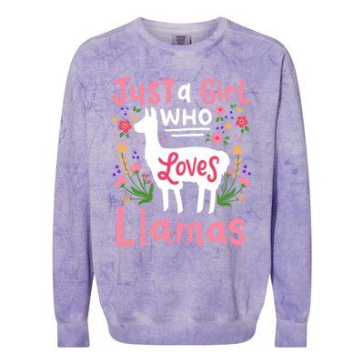 Llama Just A Girl Who Loves Llamas Llama Lover Gift Colorblast Crewneck Sweatshirt