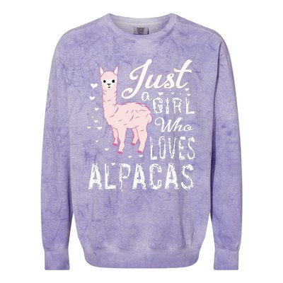 LVGTeam Just a Who Loves ALPACAS Colorblast Crewneck Sweatshirt