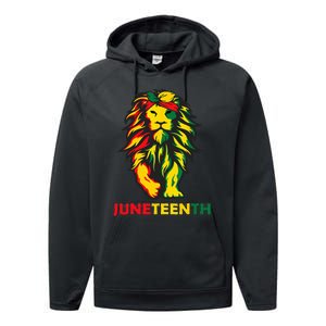 Lion Juneteenth Cool Black History African American Flag Performance Fleece Hoodie