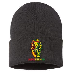 Lion Juneteenth Cool Black History African American Flag Sustainable Knit Beanie