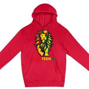 Lion Juneteenth Cool Black History African American Flag Premium Pullover Hoodie