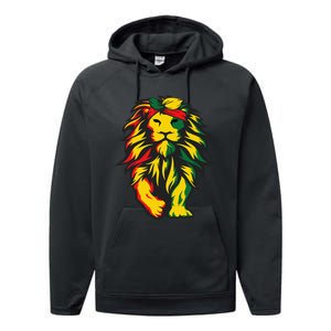 Lion Juneteenth Cool Black History African American Flag Performance Fleece Hoodie