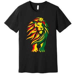 Lion Juneteenth Cool Black History African American Flag Raglan Premium T-Shirt