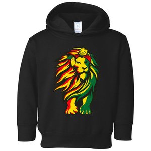 Lion Juneteenth Cool Black History African American Flag Raglan Toddler Hoodie