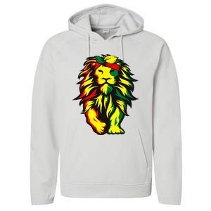 Lion Juneteenth Cool Black History African American Flag Performance Fleece Hoodie