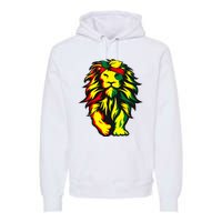 Lion Juneteenth Cool Black History African American Flag Premium Hoodie