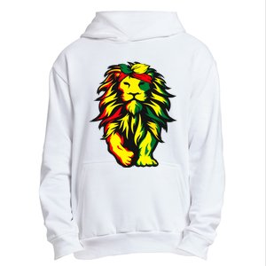 Lion Juneteenth Cool Black History African American Flag Urban Pullover Hoodie