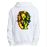 Lion Juneteenth Cool Black History African American Flag Urban Pullover Hoodie