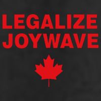 Legalize Joywave 7 Panel Mesh Trucker Snapback Hat