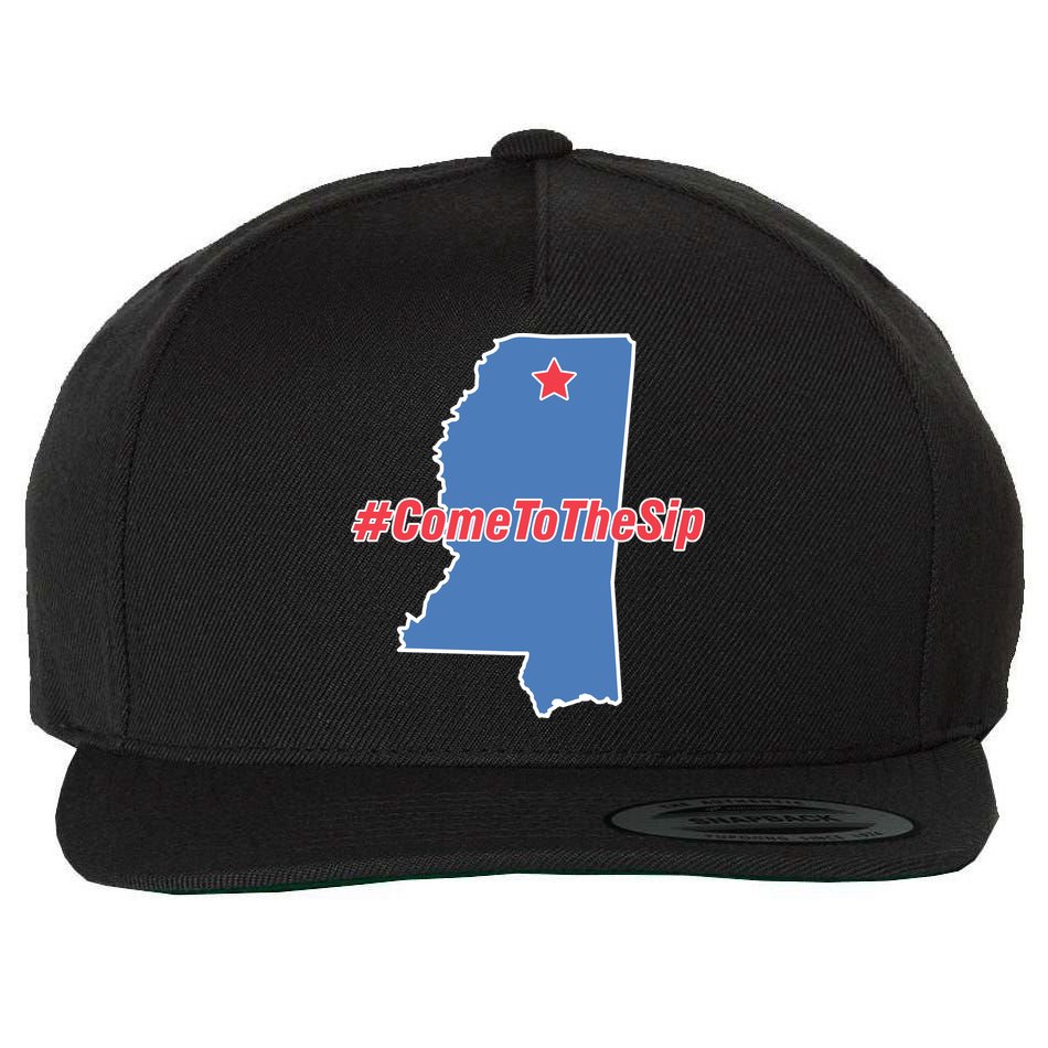 Come To The Sip Wool Snapback Cap