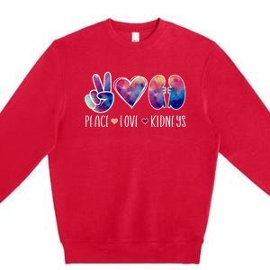 Love Kidneys Dialysis Technician Dialysis Tech Premium Crewneck Sweatshirt