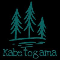 Lake Kabetogama Forest Rustic Camping Woods Trees Campground 16 in Basic Backpack