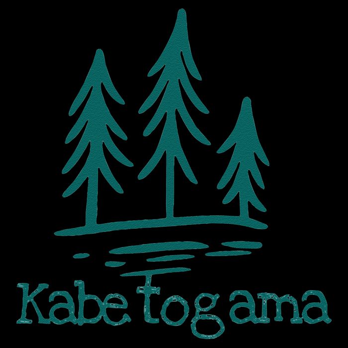 Lake Kabetogama Forest Rustic Camping Woods Trees Campground 16 in Basic Backpack