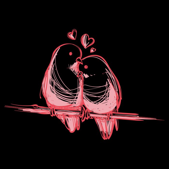 Lovebirds Kissing 16 in Basic Backpack