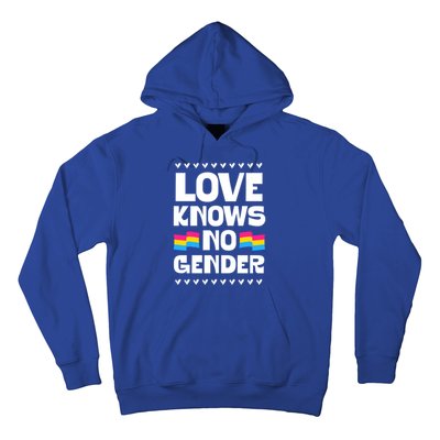 Love Knows No Gender Pansexual Pride Flag Heart Love Style Cool Gift Hoodie