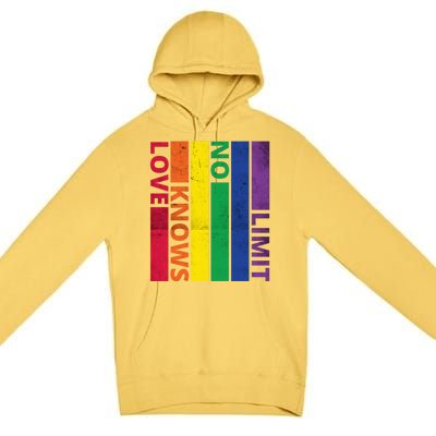 Love Knows No Limit Lgtb Awareness Month Distressed Vintage Great Gift Premium Pullover Hoodie