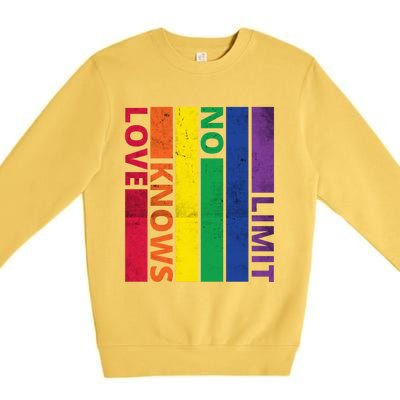 Love Knows No Limit Lgtb Awareness Month Distressed Vintage Great Gift Premium Crewneck Sweatshirt