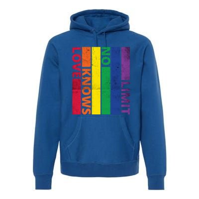 Love Knows No Limit Lgtb Awareness Month Distressed Vintage Great Gift Premium Hoodie