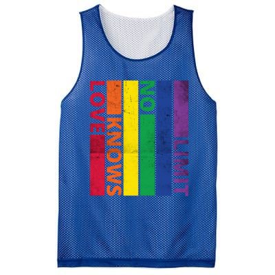 Love Knows No Limit Lgtb Awareness Month Distressed Vintage Great Gift Mesh Reversible Basketball Jersey Tank