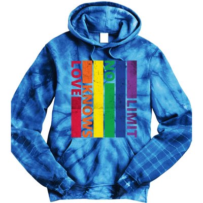 Love Knows No Limit Lgtb Awareness Month Distressed Vintage Great Gift Tie Dye Hoodie