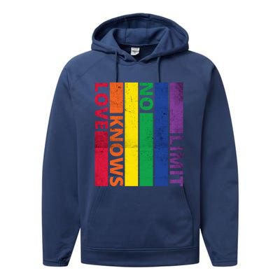 Love Knows No Limit Lgtb Awareness Month Distressed Vintage Great Gift Performance Fleece Hoodie