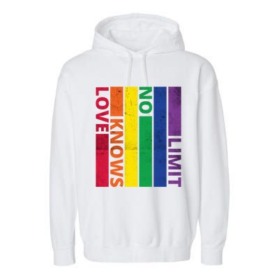 Love Knows No Limit Lgtb Awareness Month Distressed Vintage Great Gift Garment-Dyed Fleece Hoodie