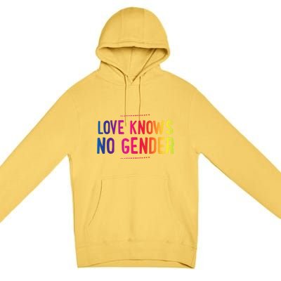 Love Knows No Gender Funny Bisexual Equality Pride Humor Cute Gift Premium Pullover Hoodie