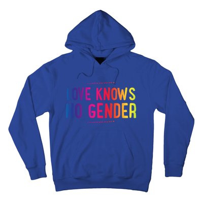 Love Knows No Gender Funny Bisexual Equality Pride Humor Cute Gift Hoodie