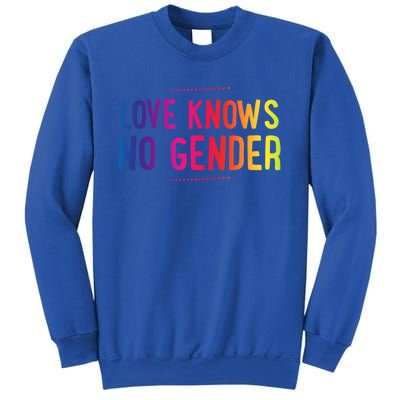 Love Knows No Gender Funny Bisexual Equality Pride Humor Cute Gift Sweatshirt