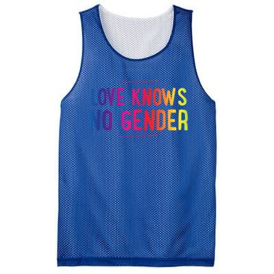 Love Knows No Gender Funny Bisexual Equality Pride Humor Cute Gift Mesh Reversible Basketball Jersey Tank