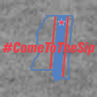 Come To The Sip Toddler Hoodie