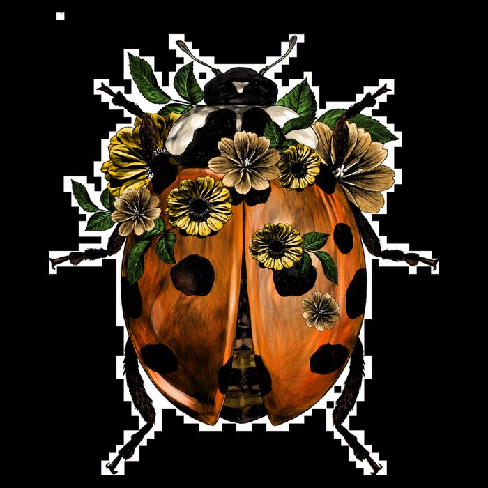 Ladybug Apron