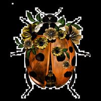 Ladybug T-Shirt