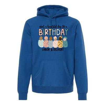 Labor L And D Nurse Swaddle Beautiful Day Birthday Gift Premium Hoodie