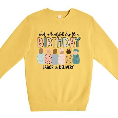 Labor L And D Nurse Swaddle Beautiful Day Birthday Gift Premium Crewneck Sweatshirt