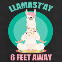 Llamast'ay 6 Feet Away Funny Social Distancing 7 Panel Mesh Trucker Snapback Hat