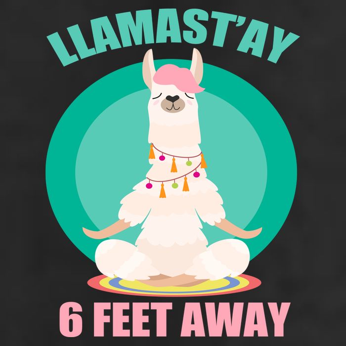 Llamast'ay 6 Feet Away Funny Social Distancing 7 Panel Mesh Trucker Snapback Hat